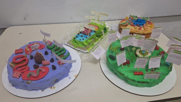 Desafío “Células Comestibles” – Biología 2° A, B y C.