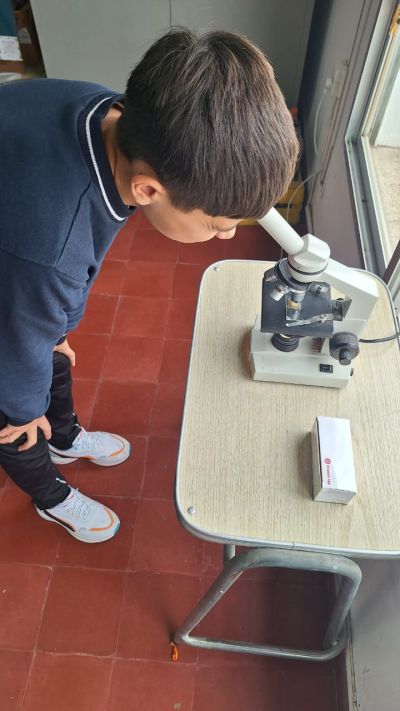 Práctico de Microscopía: observación de celulas.